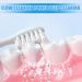 6 Replacement Brush Heads for Olybo Electric Toothbrush - Compatible with All Electric Toothbrushes - Buy Online on GoSupps.com