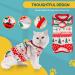 Avont Katzenbody: Optimal Recovery Suit for Cats - Post-Op Castration Weaning & Skin Disease Protection | Shop Now! - Buy Online on GoSupps.com