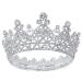 AOPRIE Victoria 1870s Crown for Women Silver Crystal Tiara for Girls Queen Crowns and Tiaras princess Hair Accessories for Wedding Prom Bridal Party Halloween Costume Christmas birthday Gifts Buling Silver