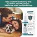 Noobecr Cat Spray Deterrent - Indoor and Outdoor Cat Repellent for Scratching Prevention and Boundary Control - Green - Buy Online on GoSupps.com