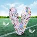 Kids Insoles for Sneakers | Breathable & Comfortable Latex Foot Care | Quality Replacement Insoles for Children - Buy Online on GoSupps.com