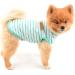 Shop Smalllee Lucky Store Summer Clothing for Dogs - Striped XXL Green T-Shirt for Small & Medium Dogs Cats - Stylish & Comfy Sleeveless Wear - Buy Online on GoSupps.com
