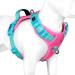 Phoepet no pull dog harness reflective dog vest with a soft training handle for small medium -sized and large dogs (pink base and green carriers l) pink base and green carrier l