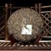 Jing Mai Shen Puer YunNan JingMai Arbre Ancien Th Puerh Cru 357g - Buy Online on GoSupps.com