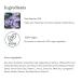 emerginC Phytocell Detox Mask - Hydrating Facial Mask with French Green Clay & Seaweed - Purifies Skin & Reduces Oils - 1.6 oz (50 ml) - Buy Internationally - Buy Online on GoSupps.com