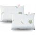Luxury Sleep - Memory Foam pillow visco -elastic - orthopedic pillow - ergonomic pillow attic - made of 100% microfiber - set 2 pillows 40x60 cm - Oeko -tex certificate aloe vera
