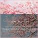 Cherry Blossom Essential Oil 120ml (4 Fl Oz) Pure & Natural Cherry Blossom Fragrance Oils Aromatherapy Cherry Blossom Oils for Diffuser Candle Making Soap Perfume - Buy Online on GoSupps.com