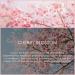 SALKING Cherry Blossom Essential Oil 120ml - Pure & Natural Fragrance for Aromatherapy, Diffuser, Massage, Soap, Candle Making, Perfume - Buy Online on GoSupps.com