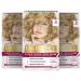 L'Or al Paris Permanent Hair Color 100% Gray Hair Coverage Hair Coloring Set with Coloration Shampoo and 3-Way Care Cream Color Excellence Creme 8 Blonde 3 x 268 g No. 8 - Blonde Pack of 3