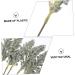 Zerodeko 36 Pcs Artificial Corn Ear Fake Flower Rustic Decor Wheat Ear Crafts Harvest Decoration Wedding Vases Natural Wheat Ear Wheat Ears Flowers Naturales Bride Display Plastic Air Dry Assorted Colorx2pcs 30X1.5CMx2pcs - Buy Online on GoSupps.com