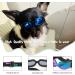 PEDOMUS Small Dog Sunglasses | Adjustable Blue Dog Goggles for Small Breeds - Buy Online on GoSupps.com