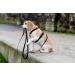 Chaba Guard Dog Harness for Medium-Sized Dogs - Anti-Pull & No-Choke Adjustable Step-In Harness - Comfortable & Lightweight Black Design - Buy Online on GoSupps.com