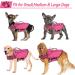 Alagirls Dog Cladding & Accessories - Rescue Vests & Life Jackets for Small to Large Dogs - Stylish Pink (Chest 42-54cm) | International Shipping - Buy Online on GoSupps.com