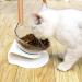 Cat Bowl with Stand - Elevated Cat Feeder for Neck Pain Relief - Ideal for Cats and Small Dogs - Single Bowl - Buy Online on GoSupps.com