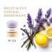 Nevo Multi Scent Deodorant Stick With Layers | Aluminum Free Deodorant for Women & Men | All Natural Organic Vegan Non Toxic | Coconut Oil & Shea Butter | N C1 Mint - Coconut - Citrus 2.65 oz Mint | Coconut | Citrus 2.65 Ounce (Pack of 2) - Buy Online on GoSupps.com