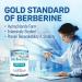 Berberine 500mg Supplement 97% Tested Purity Berberine Supplements Sourced From Non-GMO Berberis Aristata (240 Veggie Caps of Berberine HCL) 240 count (Pack of 1) - Buy Online on GoSupps.com