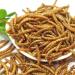 Non-GMO Dried Mealworms & Black Soldier Fly Larvae - High-Protein Treats for Chickens, Fish & Birds - 11lb Pack - Buy Online on GoSupps.com