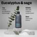 ATTITUDE Shower Gel Body Wash for Men 98% Natural Origin Ingredients Paraben & Phthalate Free EWG Verified Cleanses Without Drying Eucalyptus & Sage 14 Fl Oz Eucalyptus & Sage 14 Fl Oz (Pack of 1) - Buy Online on GoSupps.com