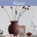 Children's Healing Herb Bath for Allergies & Respiratory Support - 8oz Bag - Buy Online on GoSupps.com