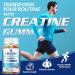 MaxHemp Creatine Monohydrate Gummies 5000mg Creatine for Women & Men 2 Packs Creatine Monohydrate Chew for Boost Focus Muscle Strength 5g Creatine Monohydrate per Serving Sugar Free Vegan - Buy Online on GoSupps.com