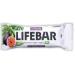 Lifefood Lifebar Energy Seal - Vegan Sports Bars Raw Organic Gluten-Free Lactose-Free No Added Sugar - 15 Pack (Fig Flavor) - Buy Online on GoSupps.com