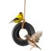 Fred Swing Time Ceramic Bird Feeder - Stylish and Durable Feeding Solution - Buy Online on GoSupps.com