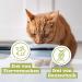 Catz Finefood N 5 Salmon & Poultry Wet Cat Food - 6x400g Cans - Refined with Spinach & Tomato | Premium International Shipping - Buy Online on GoSupps.com