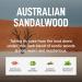 Buy Laundry Sauce Australian Sandalwood Dryer Sheets - Eco-Friendly Laundry Essentials for International Shipping - Buy Online on GoSupps.com
