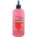 Eclectic Lady Red Hot Cinnamon Double Strength Body Spray - 16 oz Handcrafted in USA Paraben Free Moisturizing Fragrance for Women Double Strength 16 Fluid Ounces