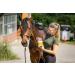 Buy RL24 Zedan Insect Gel with Sponge | Long-Lasting Fly Protection for Horses & Riders | 5x500ml Buckets | Effective Against Flies Mosquitoes & Ticks - Buy Online on GoSupps.com