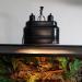 Buy Aiicioo Double Light Reptile Dome Lamp - 160W Dual Switch Heating & Lighting Solution for Tanks - Buy Online on GoSupps.com