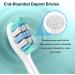 8 Pack White Replacement Toothbrush Heads for Philips Sonicare C3 C1 C2 4100 5100 6100 HX9023 G2 Electric Toothbrush - Buy Online on GoSupps.com
