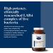 BioCare BioAcidophilus Forte | 75 Billion LAB4 Live Bacteria | 30 Capsules | Vegetarian & Vegan-Friendly Supplement - Buy Online on GoSupps.com