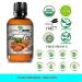 Mayan's Secret 100% Organic Sweet Almond Oil - Cold Pressed Pure Essential Oil for Skin Hair & Face (4 fl. oz.) - Best for Natural Beauty - Buy Online on GoSupps.com