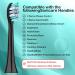 Toothbrush Replacement Heads for Philips Sonicare | Electric Brush Compatible with Click-on/Snap-on Models | International Shipping Available - Buy Online on GoSupps.com