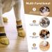 Expavloric Anti-Slip Dog Paw Protection | Adjustable Straps & Better Traction for Wooden Floors | Soft Elastic Fabric - Beige XS - Buy Online on GoSupps.com
