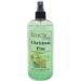 Christmas Pine Body Spray 16 ounces Body Mist for Women with Clean Light & Gentle Fragrance Long Lasting Perfume with Comforting Scent for Men & Women Cologne with Soft Subtle Aroma For Daily 16 Fluid Ounces