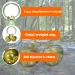 GAbraden 2 Extra Loud Cat & Dog Bells | Pet Tracker | Save Birds & Wildlife - Buy Online on GoSupps.com