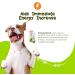 PetExx Energy Boost 100ml - Multivitamin Rehydration Immune Support Electrolyte Pet Supplement with Beta Glucans, Prebiotics, Amino Acids, Vitamins A E D3 & B12 - Green Tea Formula - Buy Online on GoSupps.com