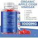 Organic Slim Candy Keto Gummies with Apple Cider Vinegar - 60 Gummies - Buy Online on GoSupps.com