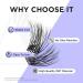 Shop Beyelian C Curl Cluster Eyelashes - 48 PCS DIY Extensions 0.07mm Transparent Band Perfect for Home Use | Individual Lashes 14mm Twin Flowers - Buy Online on GoSupps.com