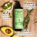 Rosemary & Mint Shampoo 480ml - Nourishing Herbal Cleanser for Healthy Hair | International Shipping - Buy Online on GoSupps.com