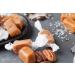 Taras Handcrafted Gourmet Madagascar Vanilla Caramel - Small Batch Kettle Cooked - 20 oz - Buy Online on GoSupps.com