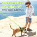 Aokcats Adjustable Soft Reflective Cat Harness Set with Leash & Dishes - Leak-Proof Design for Kittens & Rabbits - Light Green - Buy Online on GoSupps.com