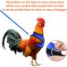 Molain Adjustable Chicken Harness & Leash - Comfortable Vest for Ducks & Hens (2-11 lbs) - Breathable Mesh Training Gear (Blue) - Buy Online on GoSupps.com
