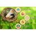 SunGrow Birds Nest for Finch, Canary, Pigeon, Parakeet - Encourages Courtship, Breeding, Nesting - Buy Online on GoSupps.com