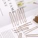 200pcs Bronze U Shaped Hair Pins Kit for Women & Girls - AIEX Bobby Pins for Hairdressing Salon - Buy Online on GoSupps.com