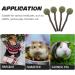 GANAZONO 4pcs Guinea Pig Chewing Playthings Bunny Chewing Playthings Bunny Treats Parrot Treats - Buy Online on GoSupps.com