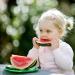 Nip Baby & Children's Plate Set | Dishwasher-Safe BPA-Free Extra Flat Dishes | Perfect Coast Start Matte Colors - Buy Online on GoSupps.com