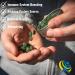 On Target Living Organic Spirulina Tablets | USDA Organic | 1000 Tablets | Energy Enhancing | Lowers Inflammation | Premium Protien Source | Vegan | Athletic Performance | - Buy Online on GoSupps.com
